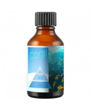  Uleiuri esentiale pentru difuzor - Ulei esential odorizare camera 50 ml ScentPlus - Coral - arli.ro